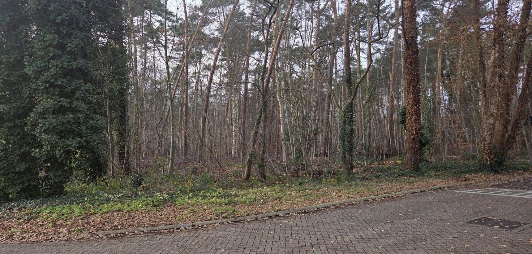 Grond te koop in Balen