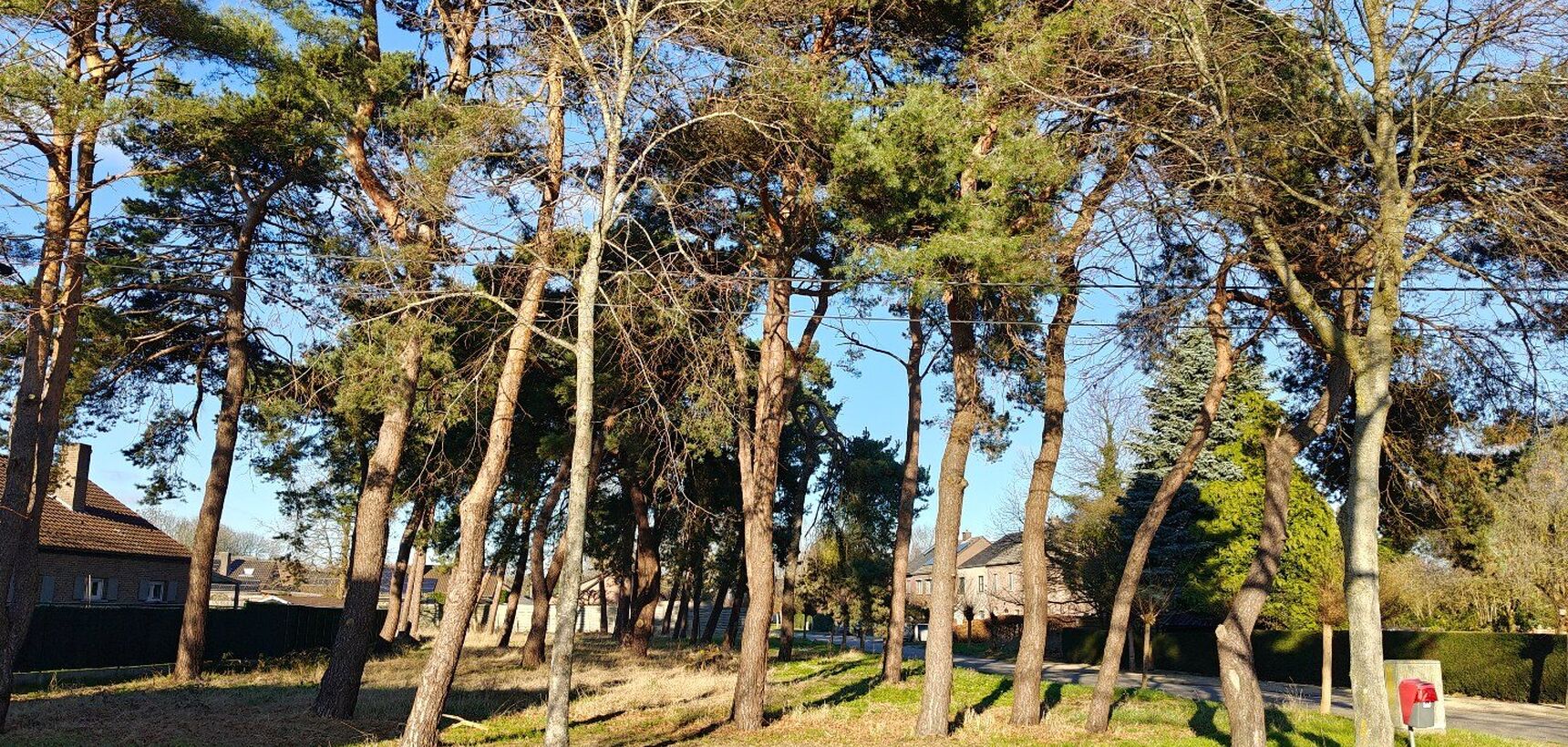 Grond te koop in Mol